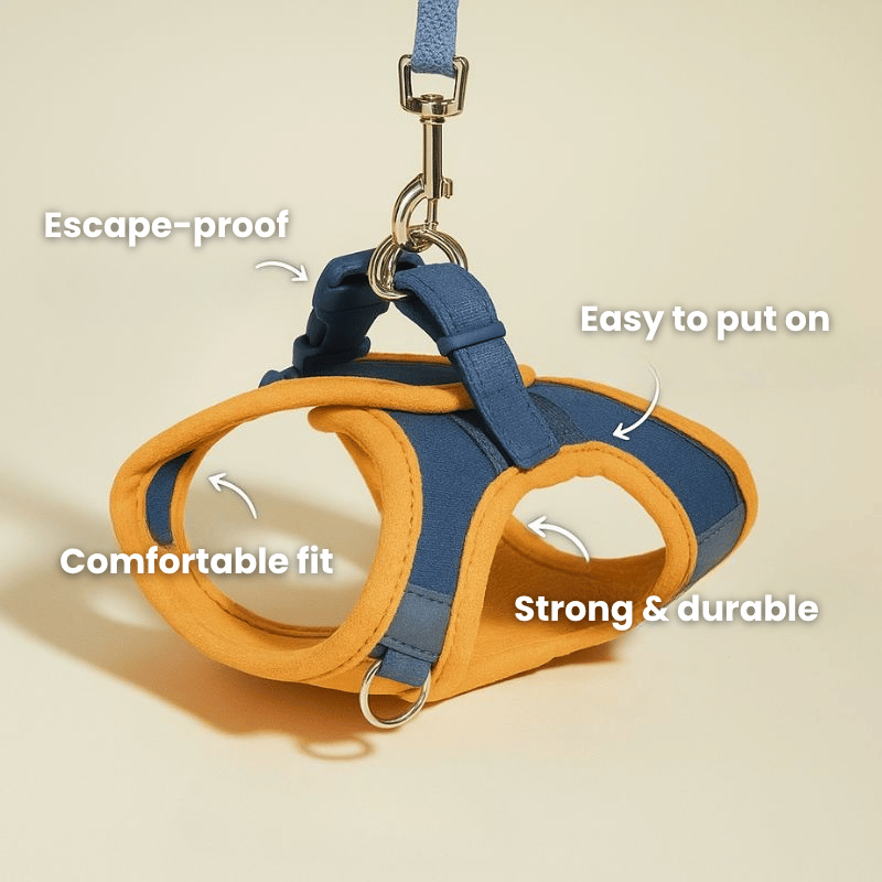 Tailton cat harness: escape-proof, easy to put on, comfortable fit, strong and durable