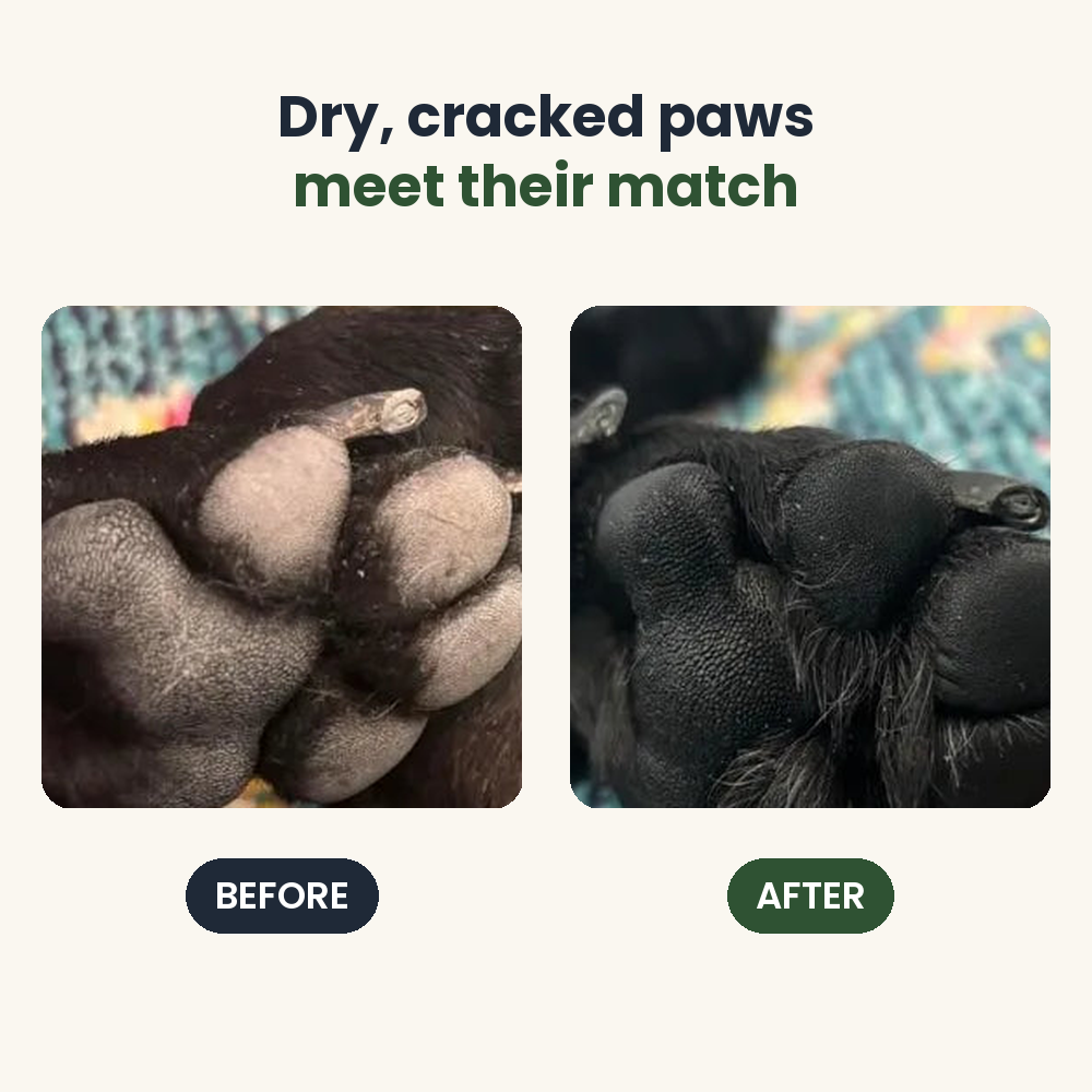 Before and after using Tailton Natural Paw Balm on dry cracked paws