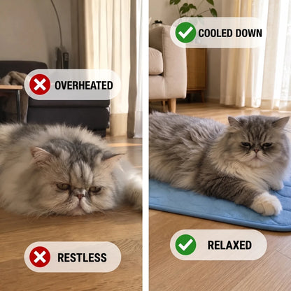 Before and after - overheated and restless versus cooled down and relaxed