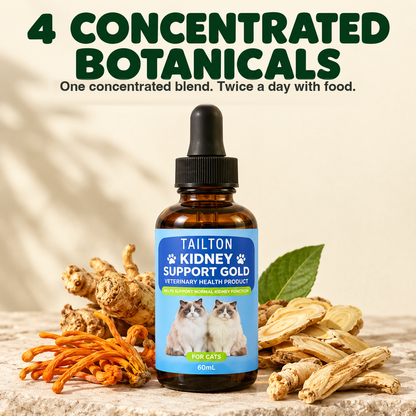 4 concentrated botanicals — one blend, twice a day with food