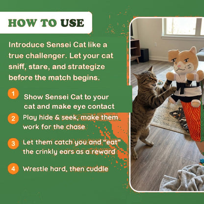 How to use the Sensei Cat puppet in four steps