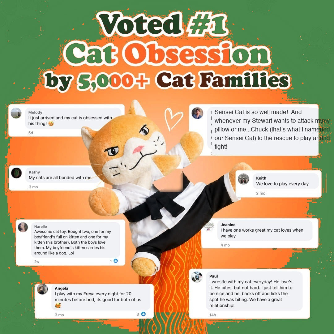 Voted number one cat obsession by five thousand cat families