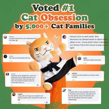 Voted number one cat obsession by five thousand cat families