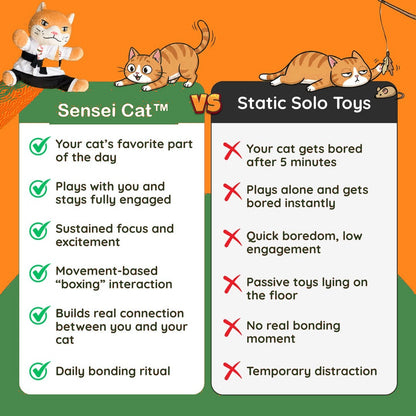Sensei Cat versus static solo toys comparison