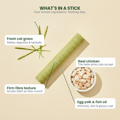 grass anatomy