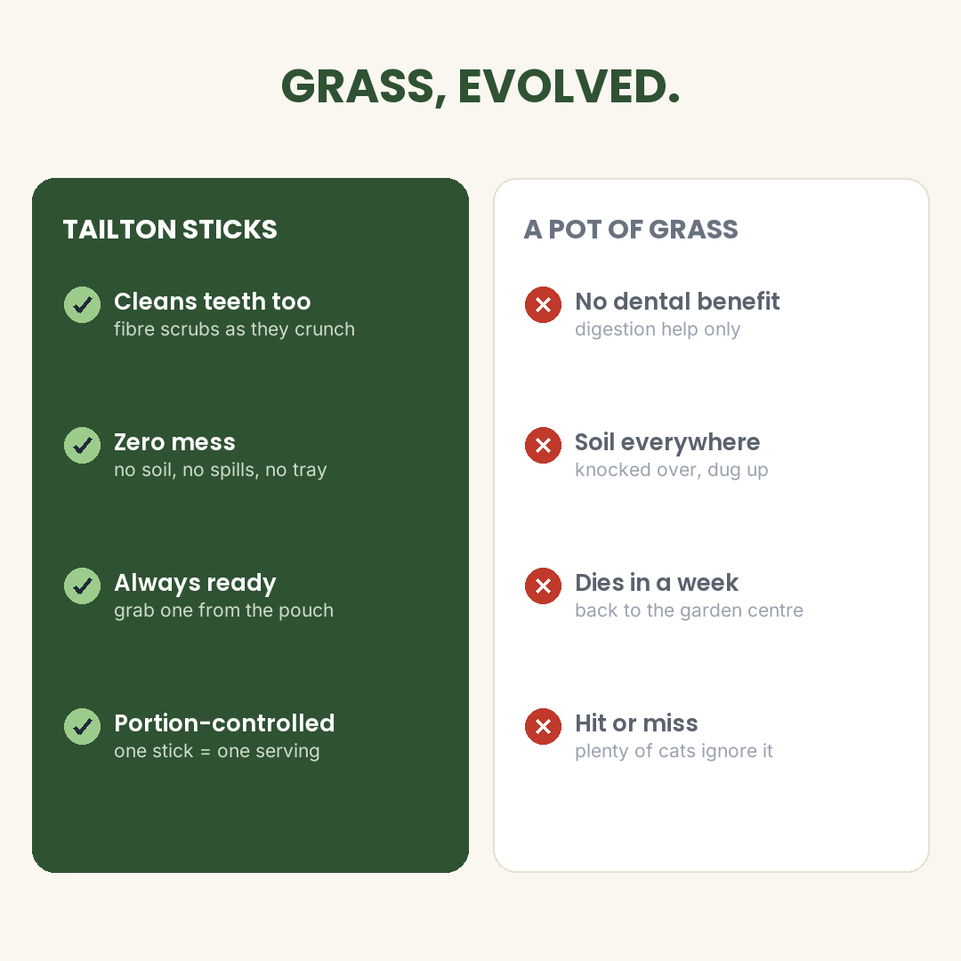 grass compare