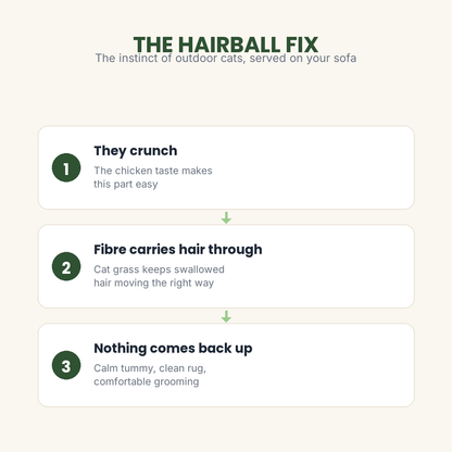 grass hairball