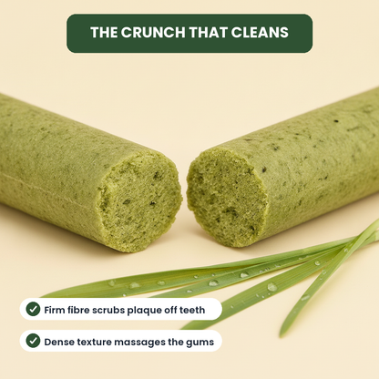grass teeth