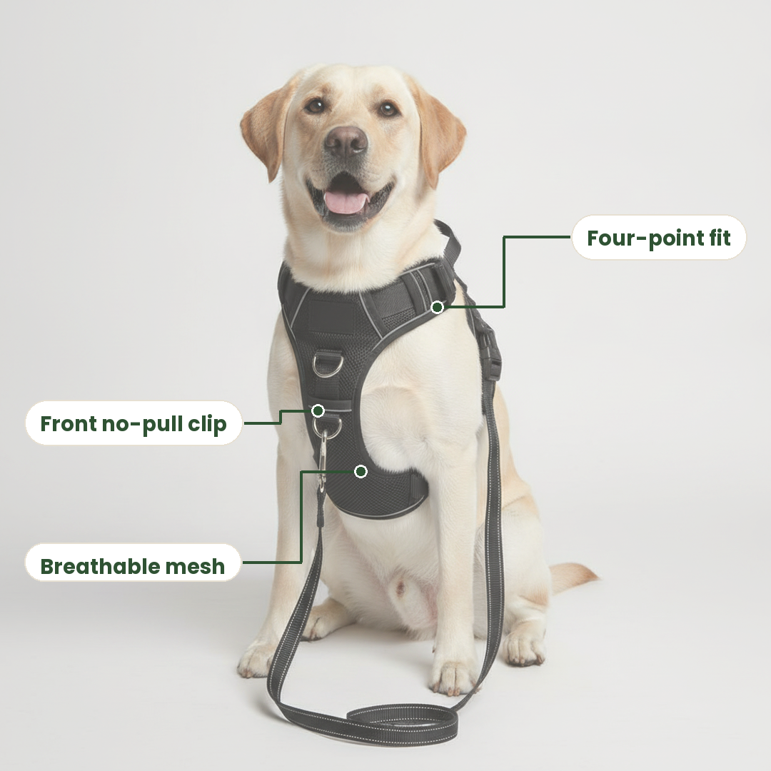 Four-point fit, front no-pull clip and breathable mesh