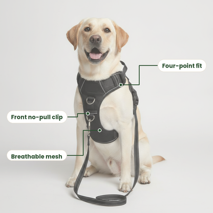 Four-point fit, front no-pull clip and breathable mesh