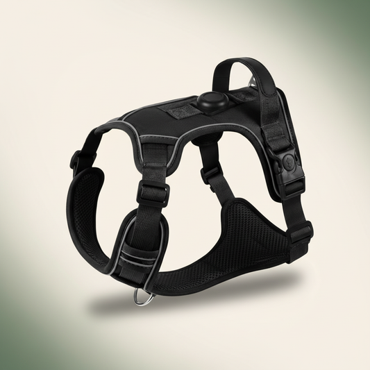 Tailton no-pull dog harness with front clip and padded chest panel