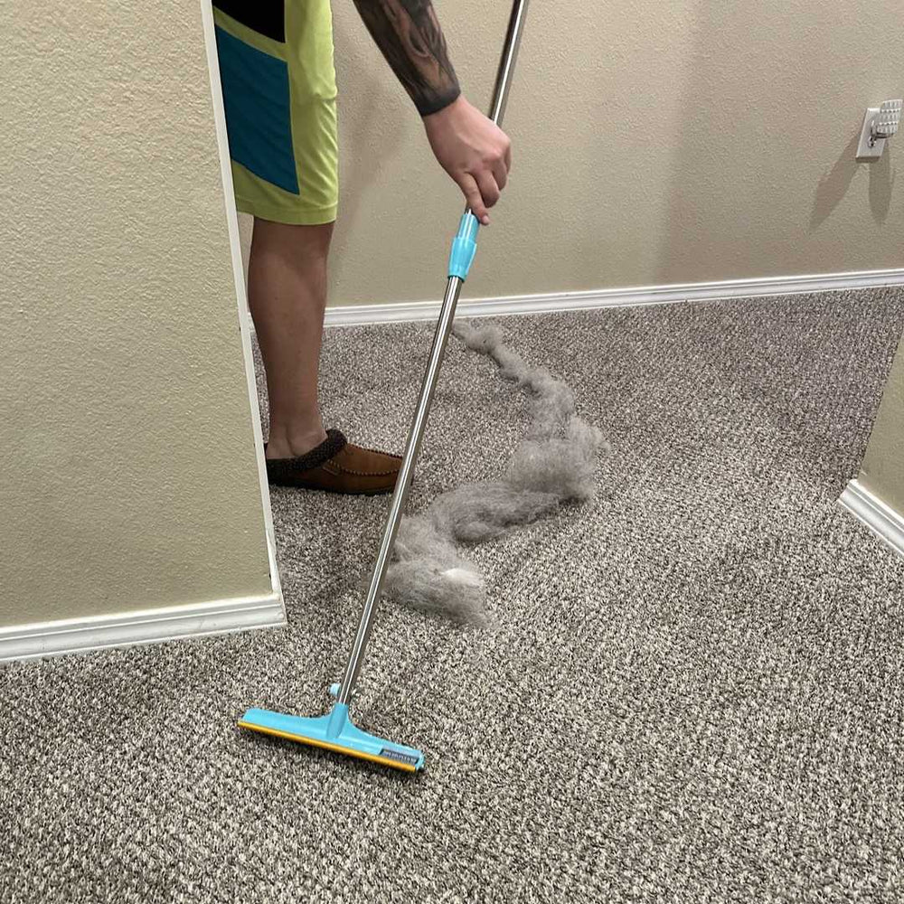 The long-handle version on a hallway carpet