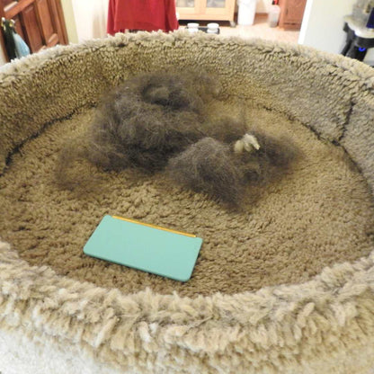 The mini hair remover on a pet bed