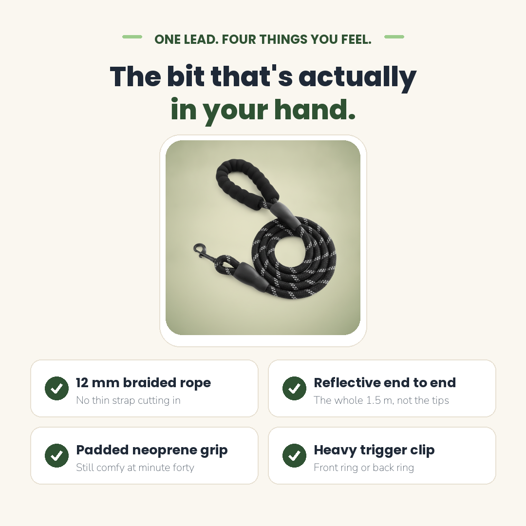 12 mm braided rope, reflective full length, padded handle, heavy clip