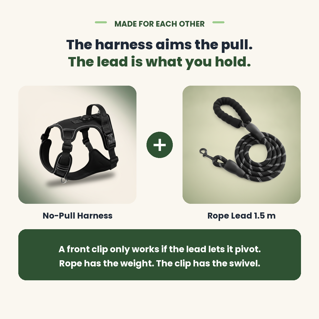 The no-pull harness and the rope lead used together