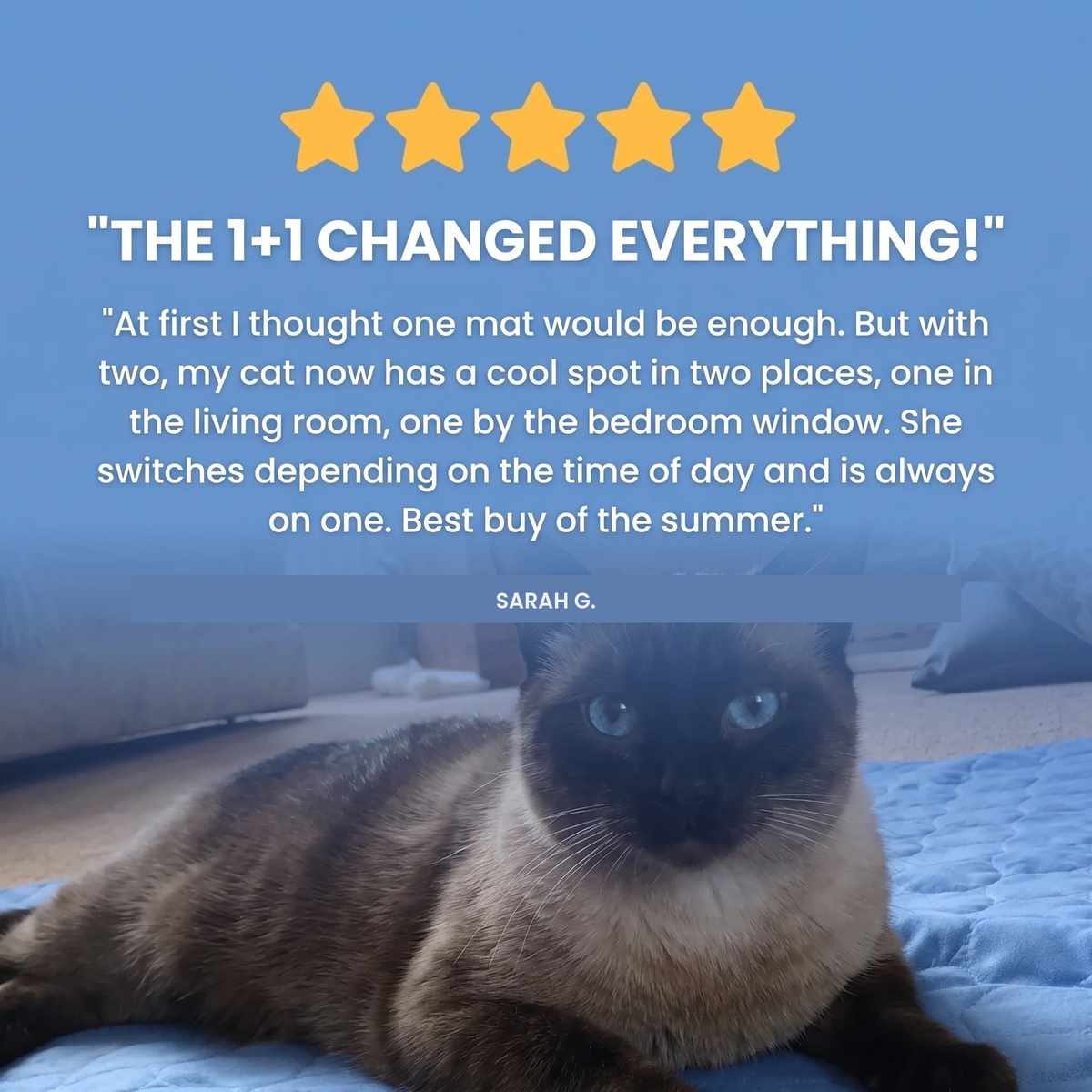 Five star review - the twin pack changed everything