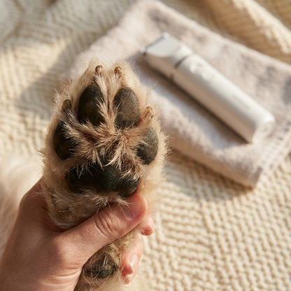 Before - overgrown fur between paw pads