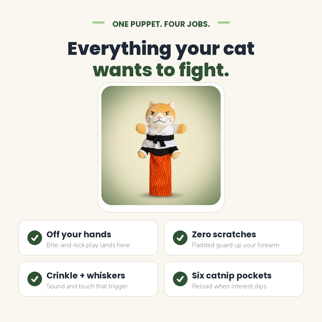 Four benefits of the Sensei Cat wrestling puppet