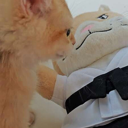 A ginger kitten face to face with the Sensei Cat puppet