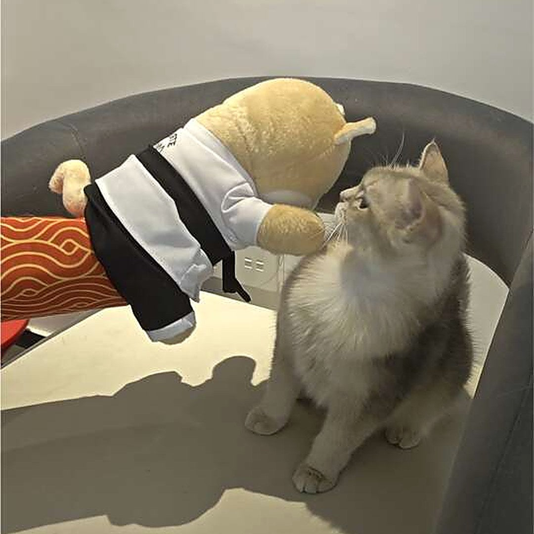 A kitten looking up at the Sensei Cat puppet held above